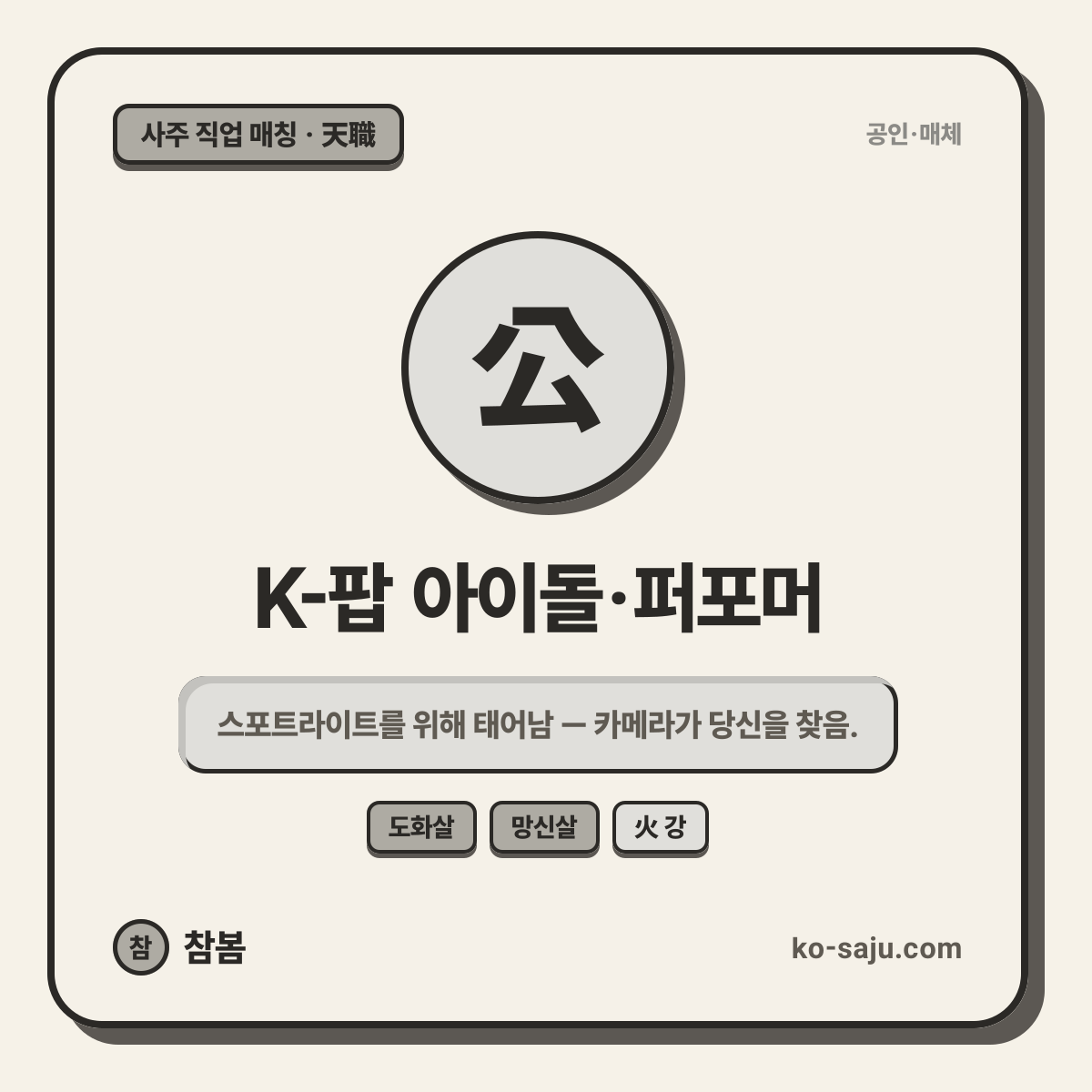 K-Pop Idol / Performer